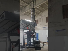 मिनी गाय