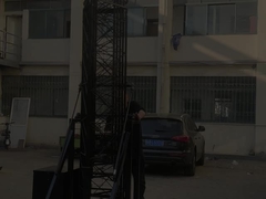 मिनी गाय